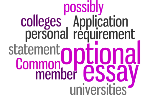 Common App optional essay 2015