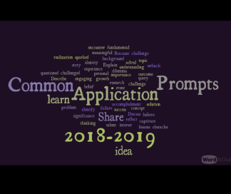 Common Application Prompts 2018-2019